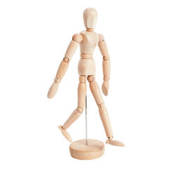 Drveni model ljudskog tijela na postolju
