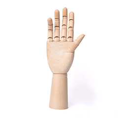 Drveni model ruke - muška i ženska ruka